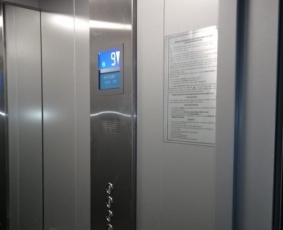 ����˨� ���� ������������ ������ ������