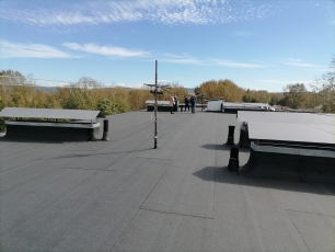 ���������� ��������� ������������ ������� ������ ��������� � ��������������� ����� ������������-��-�����