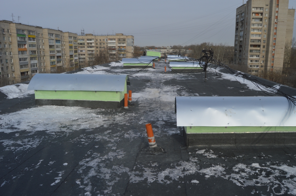 DSC_1102.JPG DSC_1102.JPG
