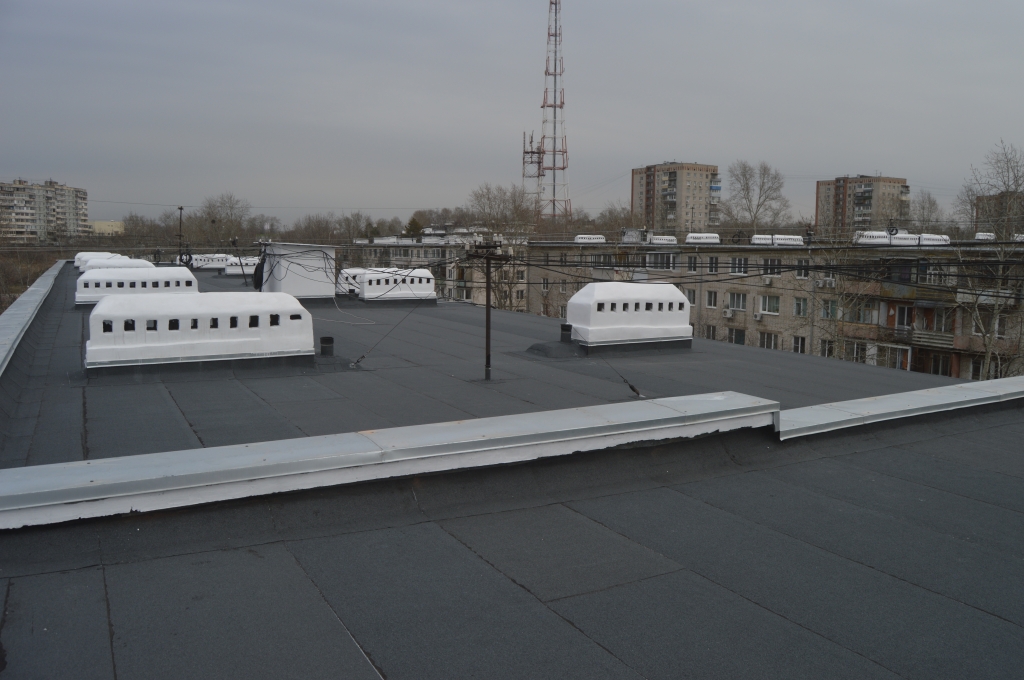 DSC_1081.JPG DSC_1081.JPG