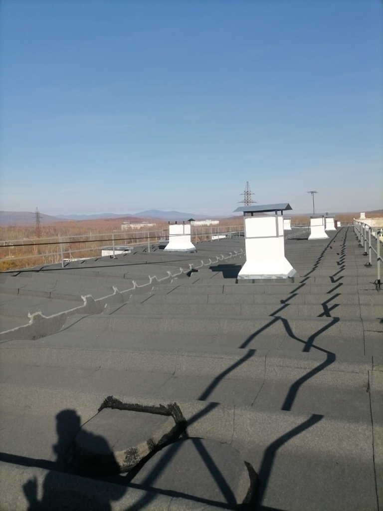 WhatsApp Image 2024-10-10 at 10.41.08 (1).jpeg