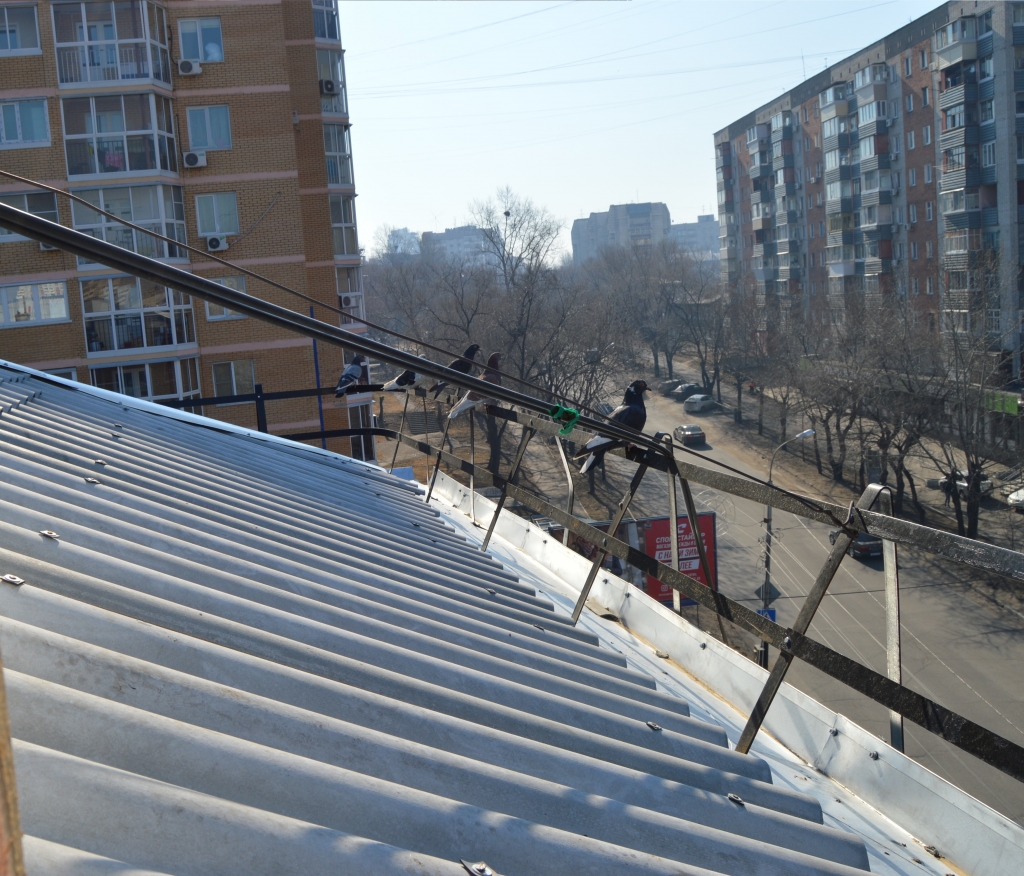 DSC_1269.JPG DSC_1269.JPG