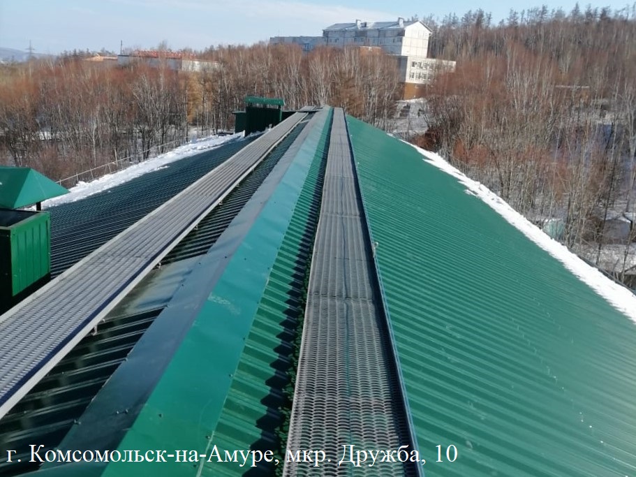 ���. ������, 10(1) ���.jpg