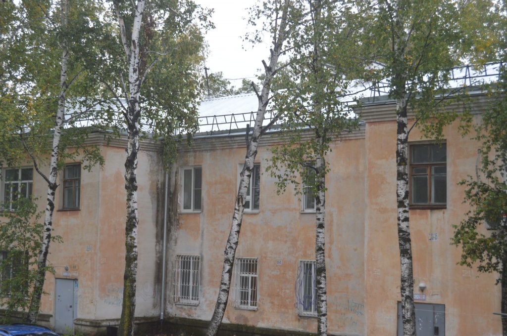 DSC_1233.JPG DSC_1233.JPG