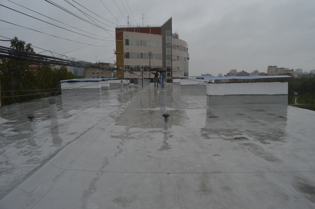 DSC_1213.JPG DSC_1213.JPG