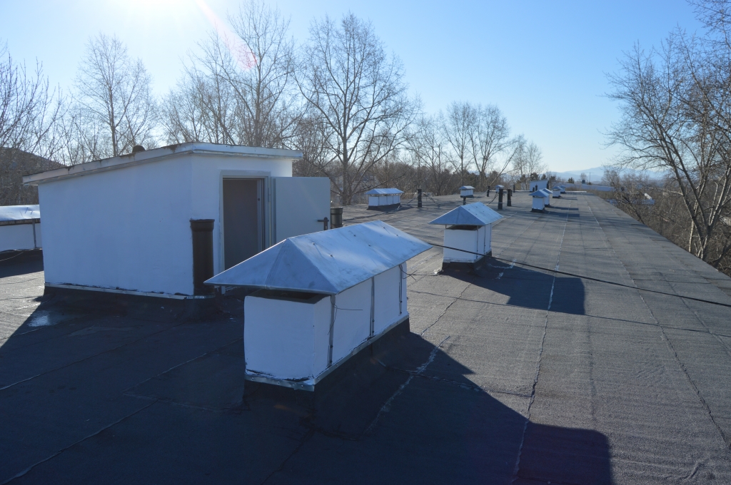 DSC_2746.JPG DSC_2746.JPG